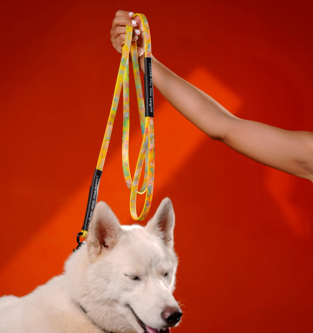 Biothane Series: The Super Leash - Yellow