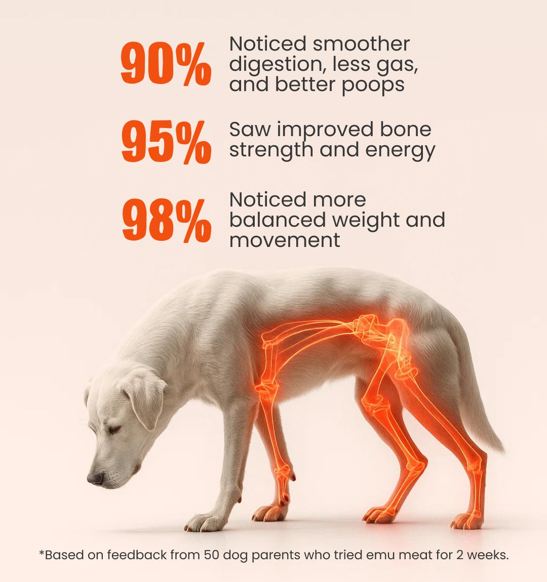 100% EMU-Meat Topper for 100x Healthier Dogs