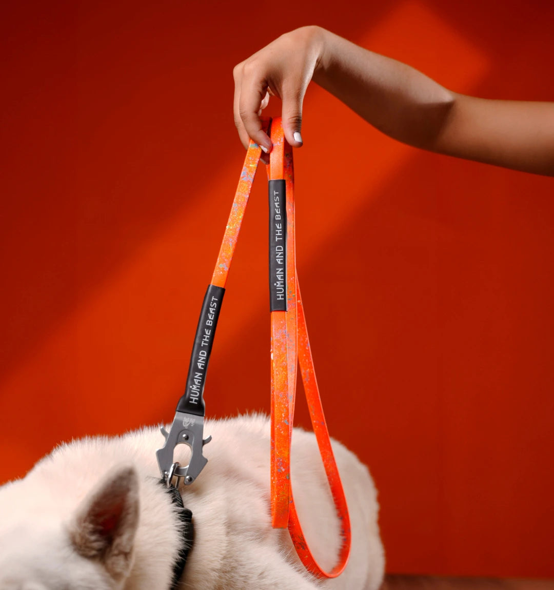Biothane Series: The Super Leash - Orange