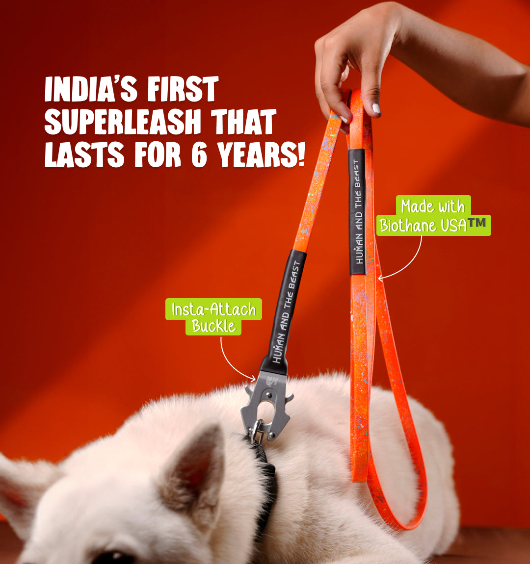 India's First Super Leash Made with Biothane USA Webbing  - Hunter Orange