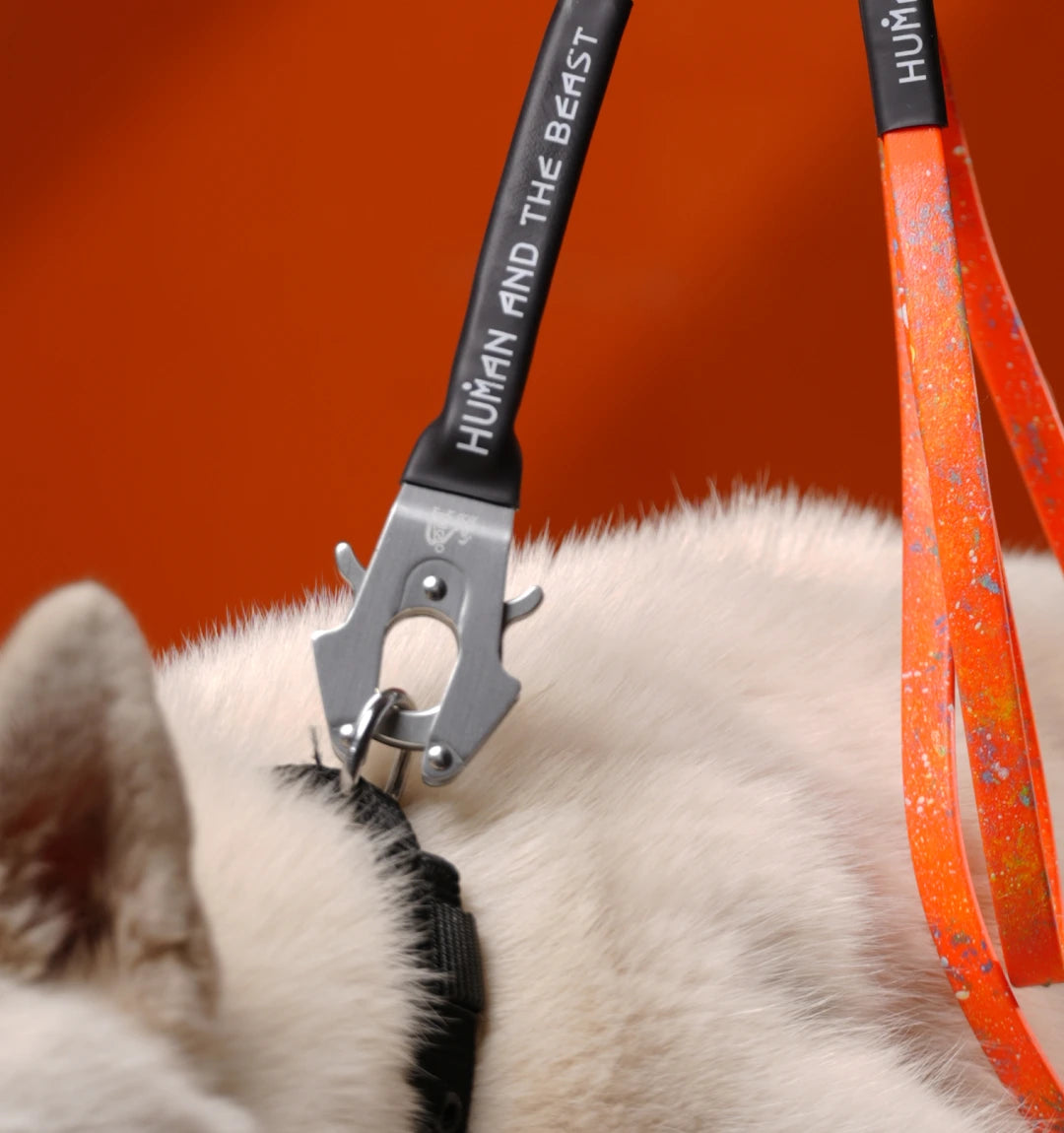 Biothane Series: The Super Leash - Orange