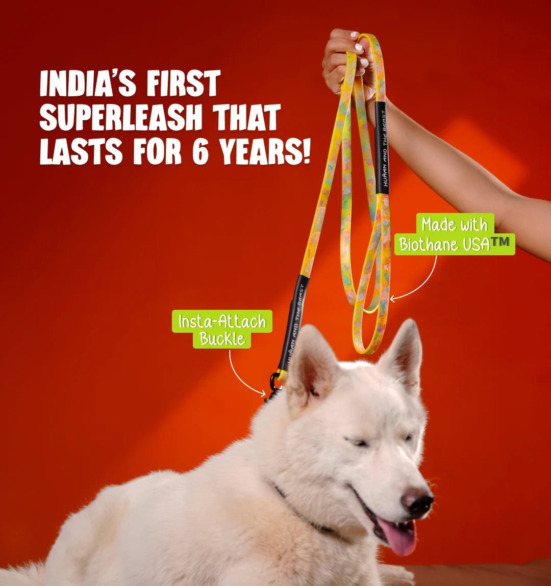 India's First Super Leash Made with Biothane USA Webbing - Safety Yellow